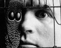 Feather over one eye with other eye looking forward